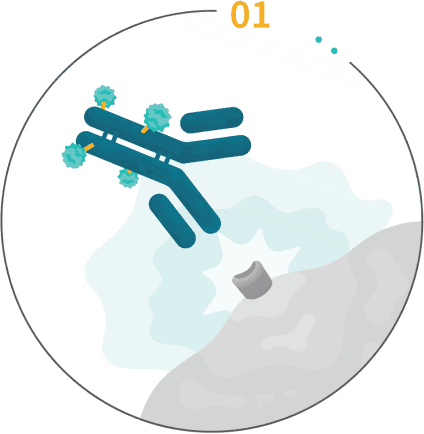 Tivdak attaches to a special protein